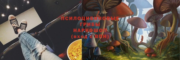 Альфа ПВП Алзамай