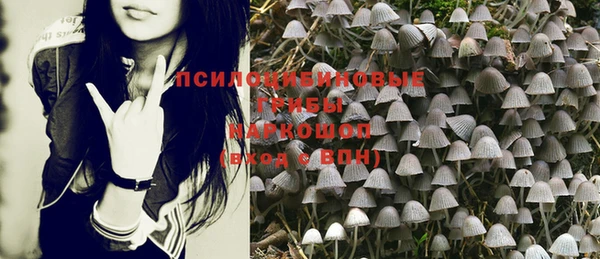 Альфа ПВП Абаза