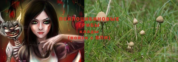 ГАЛЛЮЦИНОГЕННЫЕ ГРИБЫ Гусев